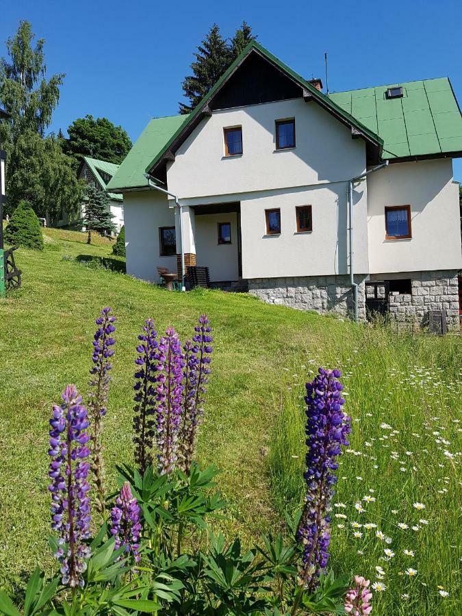 U Kobru Apartman Špindlerŭv Mlýn Kültér fotó